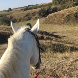 Meet your Posher, Jamie